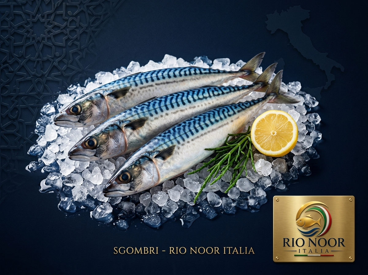 Fresh mackerel