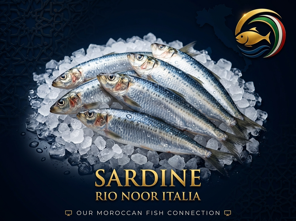 Fresh sardines